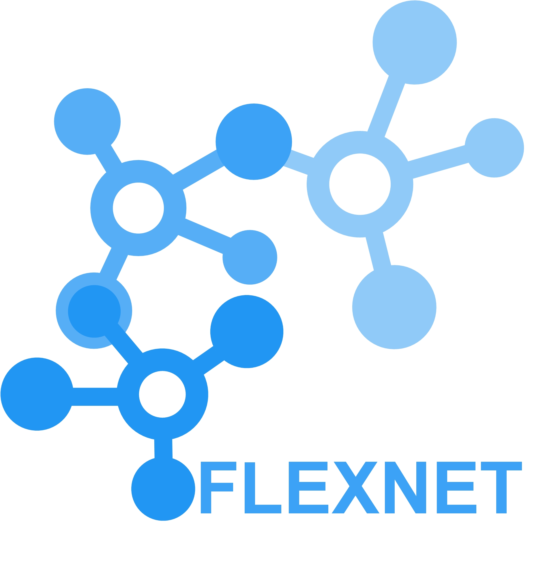 Flexnet Informática